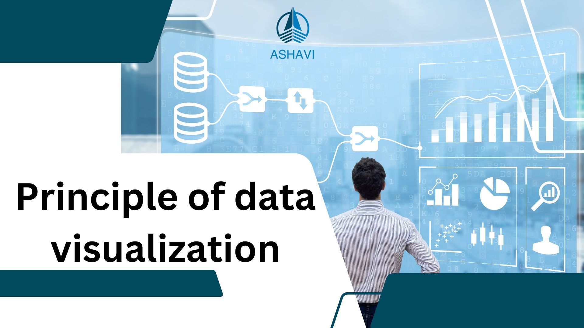 Principle of data visualization